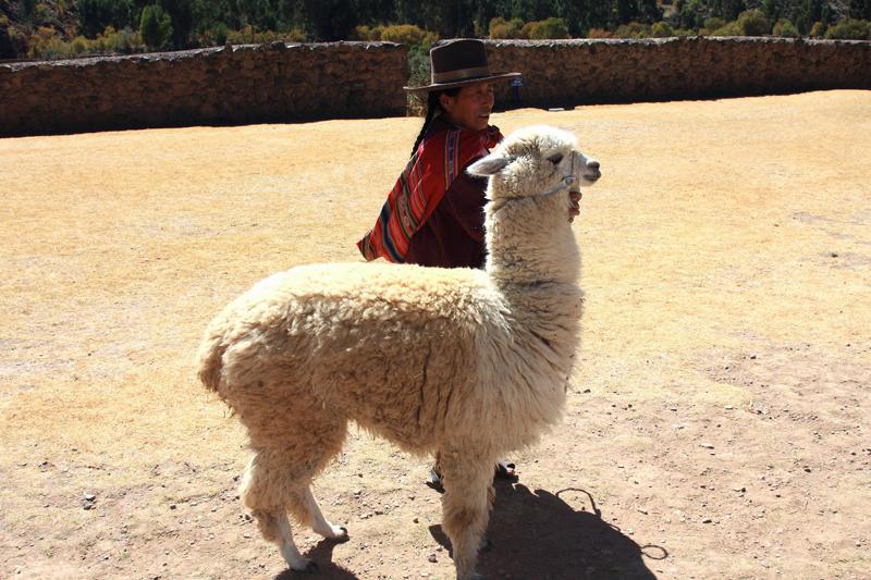676-Rqchi,tempio di Wiracocha,12 luglio 2013.JPG